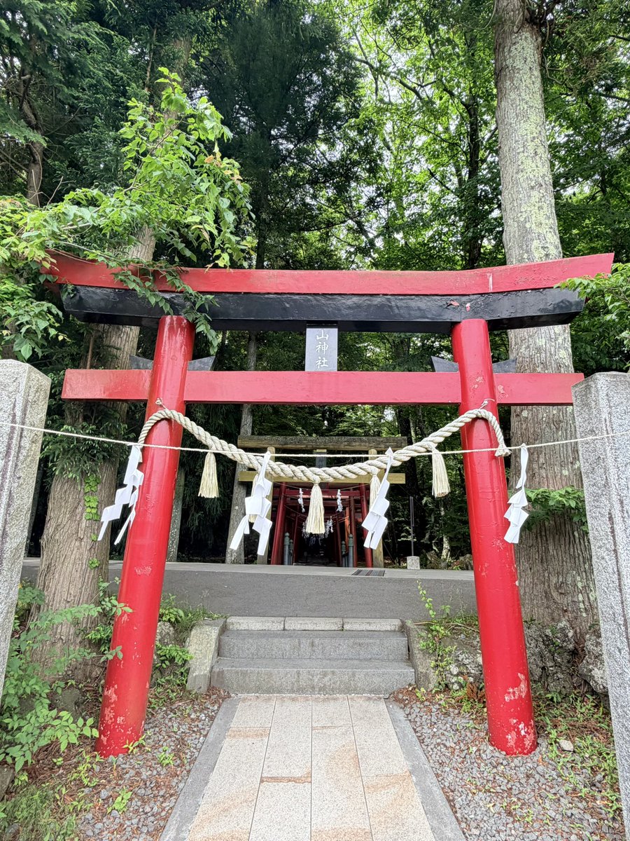 yu3chi's tweet photo. 有名な里宮は勿論だけれど、奥宮は言葉にできないくらい素敵な【新屋山神社さま】

道中からスマホの電波は途切れ途切れになるけれど、見たことないくらいに立派なシダや、見たことのない花に魅せられる初めての富士山の中。

どこからか聴こえる水の音や鳥の声、新緑や土の匂いに五感までキレイに浄化されるようで。早朝の気温15℃前後と涼しくて、本っ当に氣持ちのいいお社でした。