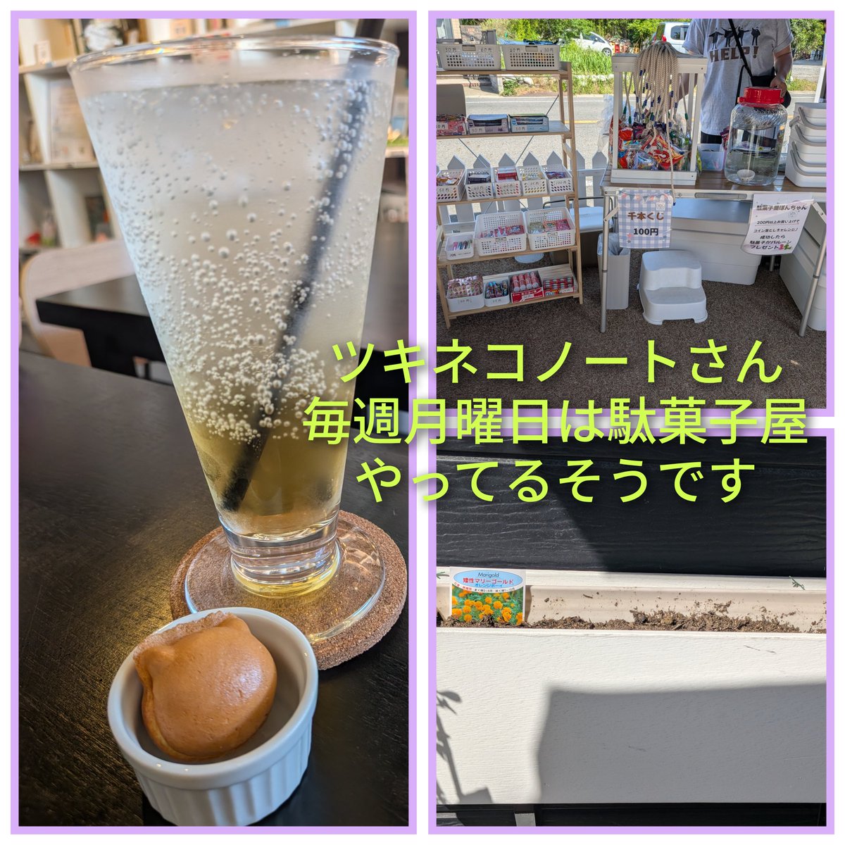 itoanna107's tweet photo. なかなか行けていなかった
ツキネコノートさんに
久々に行けました。

店長さんともお話できてよかった☆

月曜日は出張駄菓子屋さんが
来ているとのことで
子どもたちも集まっており
とってもいい感じです。

秋には黄色のマリーゴールドが
たくさん咲く予定だそうです。

#伊藤あんな https://t.co/dt5WHk0knW