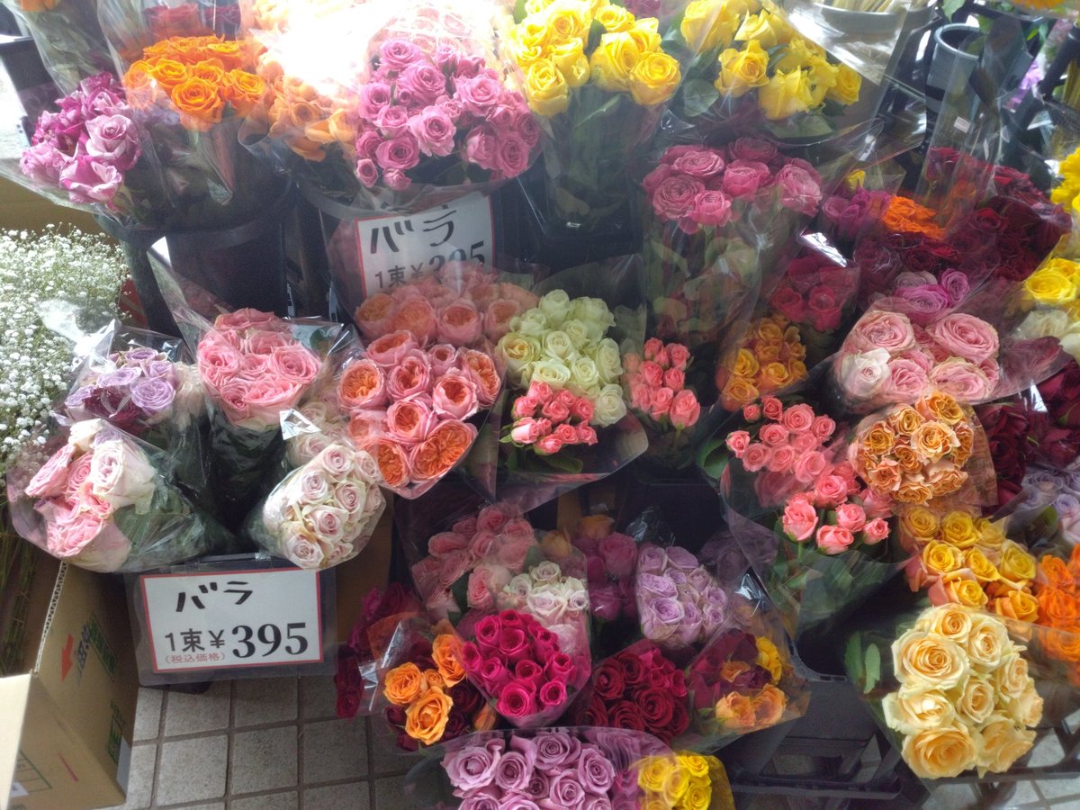本日もワールドフラワーオープンしました！ 本日の鉢花の入荷ですが