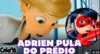 Guardiões dos Miraculous🐞🏳️‍🌈 tweet media