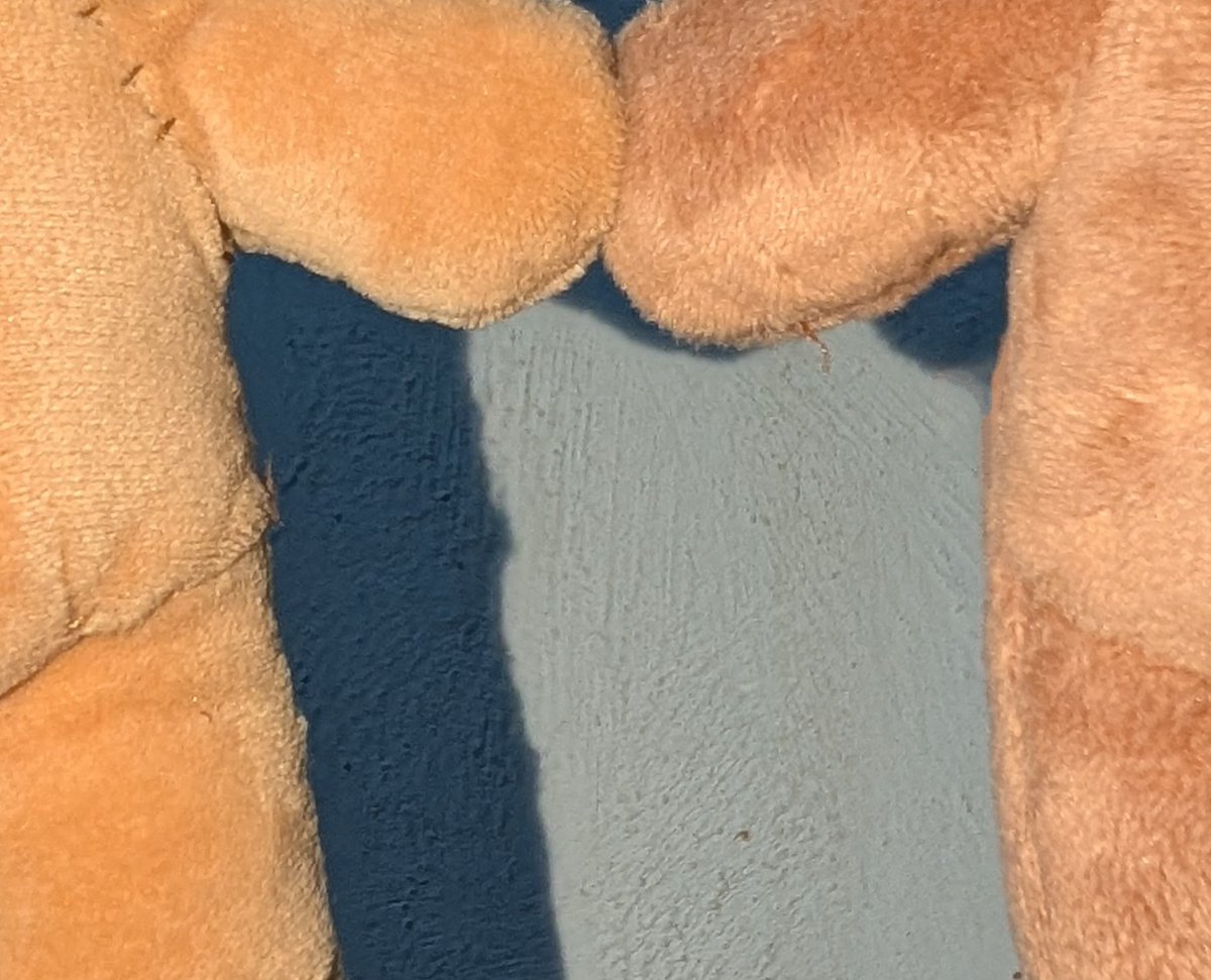 hcxwuv's tweet photo. OK BIG QUESTION, which color is more ideal for jayling plushie. https://t.co/CabDxZrNE8