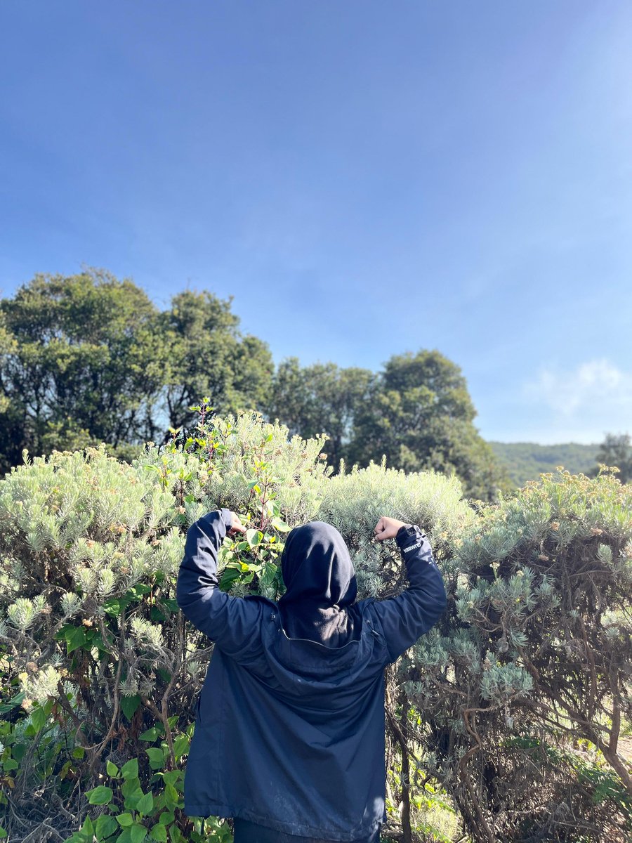 wutizwrong's tweet photo. Papandayan, 1 Juni 2026 https://t.co/1ultfR1vYB