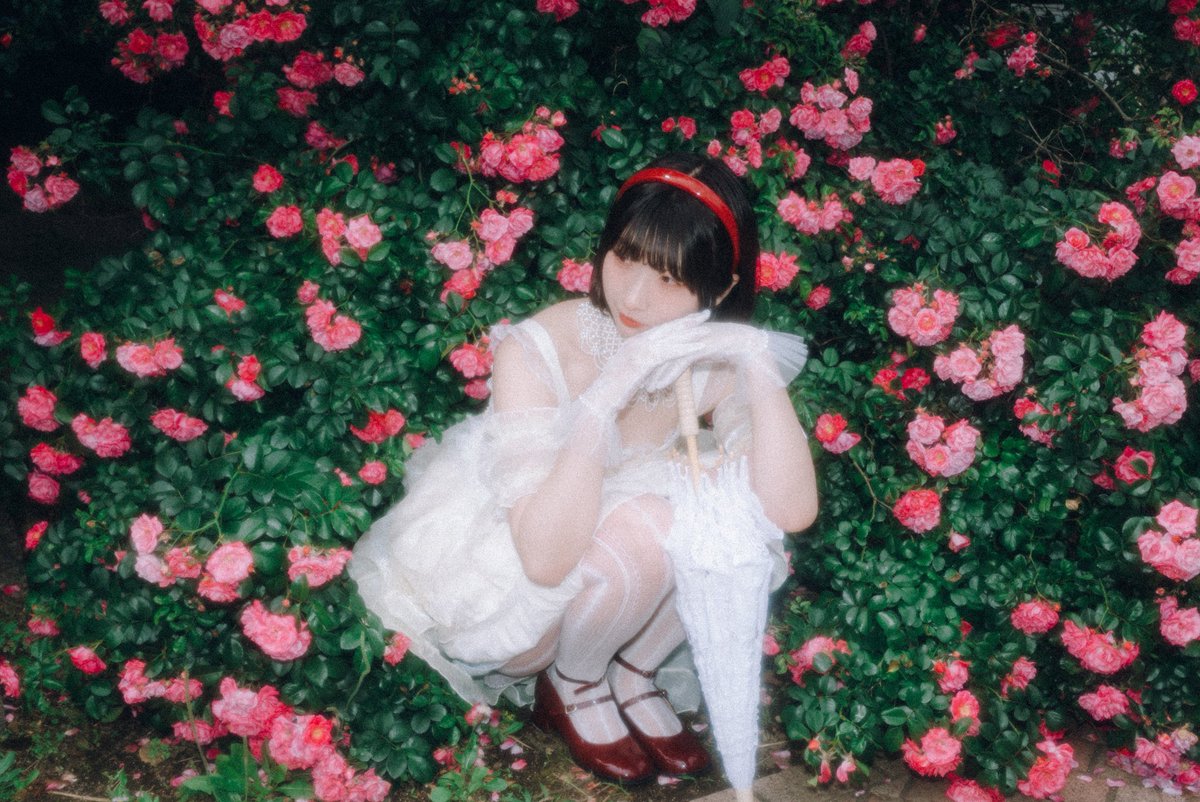 sosokac_'s tweet photo. ローズの日🥀 https://t.co/WEOTsU5pOv