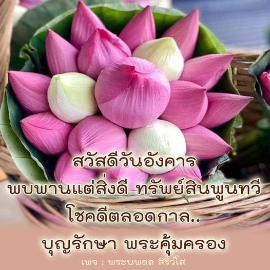 94° tweet media
