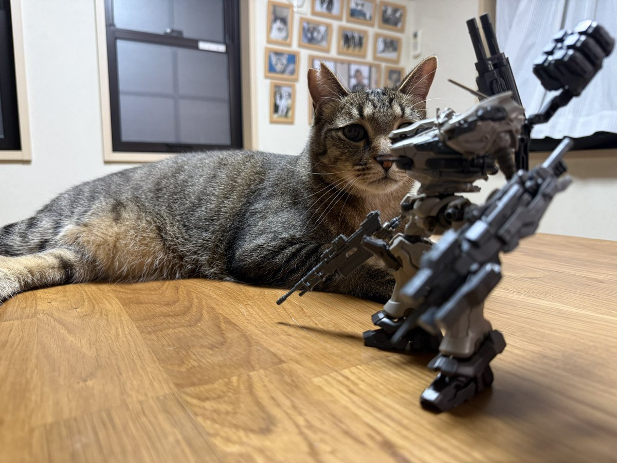 s_tomcat3's tweet photo. 久々にプラモデル作ったらずっと見張られてたw
モデラーにとって恐怖でしかないwww https://t.co/1kIA5k0G7y
