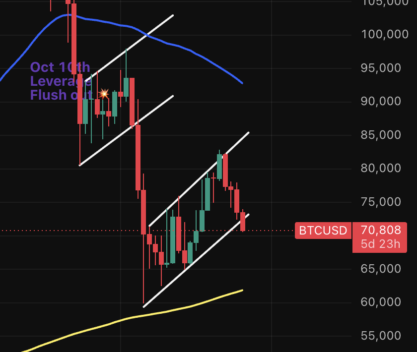 AltcoinDaily tweet picture