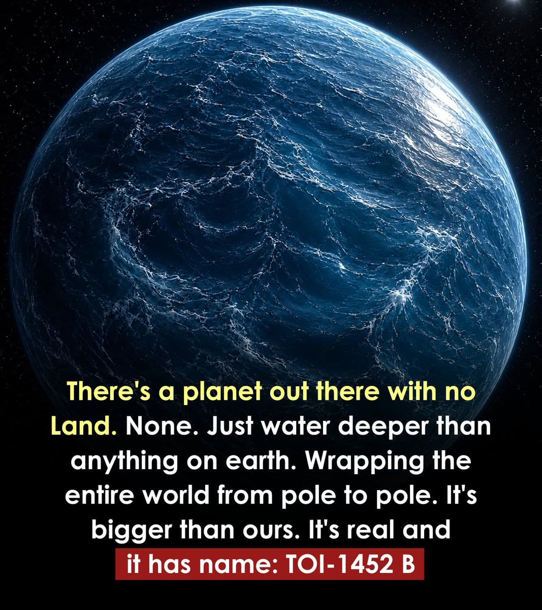 The World R🅰️nking tweet media