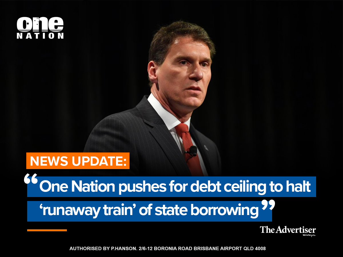 OneNationAus's tweet photo. A very smart move by One Nation South Australia MPs. Debt has ballooned out of control under the State Labor Government in SA (as it always does under Labor governments!), and ultimately it will be future generations who will have to pick up the tab. One Nation SA is proposing a debt ceiling to rein in the debt. A common-sense move that will no doubt be opposed by Labor!