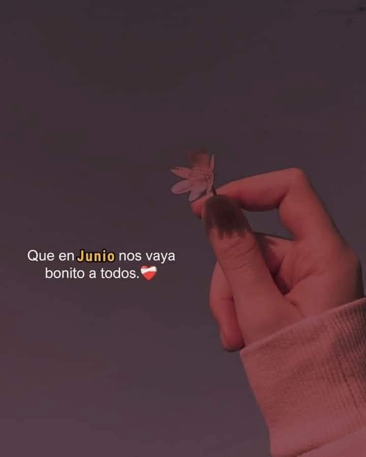 maria_colotti's tweet photo. 🙌 https://t.co/btPorog5Pu
