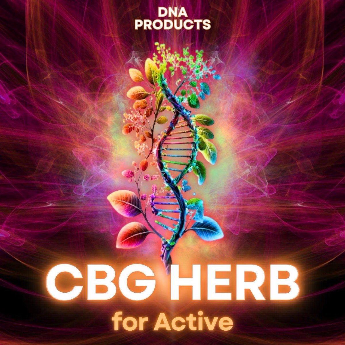 dnachill420's tweet photo. CBG HERB🌿

CBGのクリアなフィーリングを組み合わせた人気商品☺️

香りを楽しみながら、
自分のペースで取り入れられるのもHERBの魅力です✨

#DNA #CBG https://t.co/H8W4weQOD4