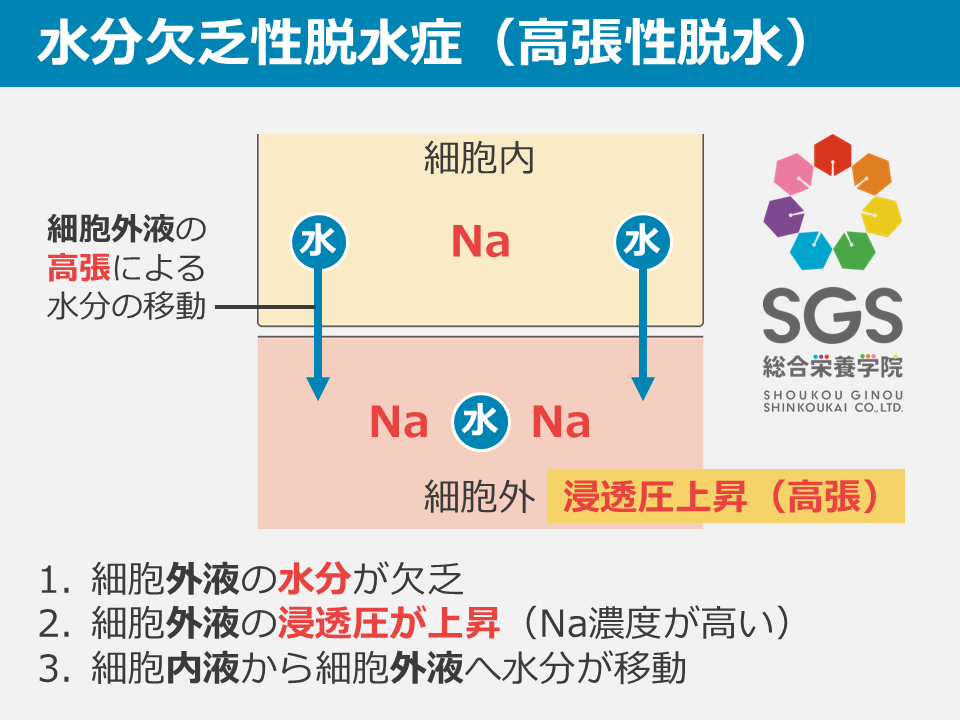 公式】SGS総合栄養学院 (@sgstweet) / Posts / X