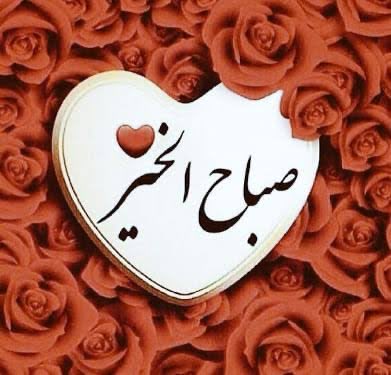 Mohammadalf2017's tweet photo. https://t.co/UEjjmrDCsT