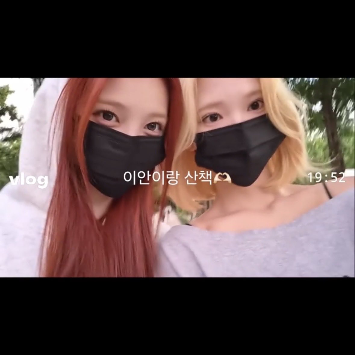 콩알잉 tweet media