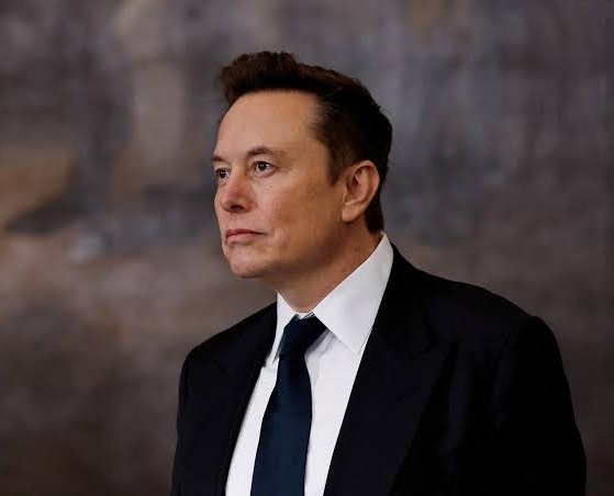 ElonVision 🚀 tweet media