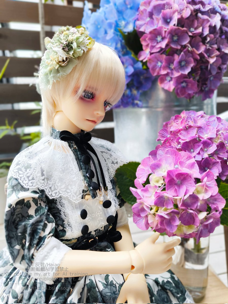gray04blue's tweet photo. 紫陽花とうちの子たち💠① https://t.co/lPEiasnOUX