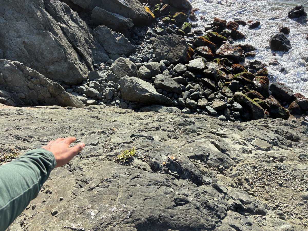 whybyfire's tweet photo. Scramble down to the beach at Lands End park https://t.co/V2wWD6WW1p