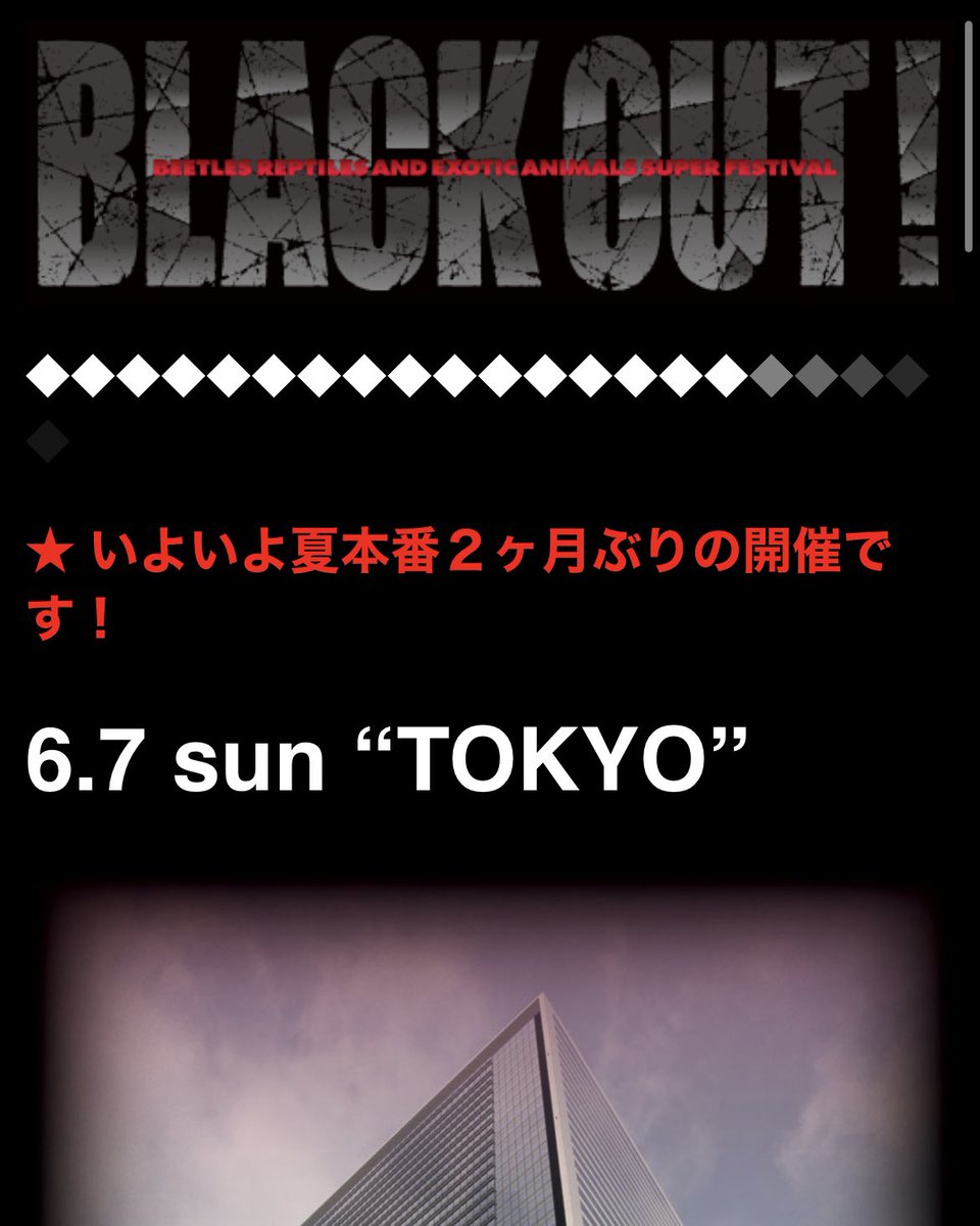 FATTAIL_AOTO's tweet photo. 今週末6/7(日)はBO東京&amp;WAF新潟

現在ニシアフもブラックナイトも最高級のクオリティが揃ってます✨

圧倒的な品揃えでお待ちしております https://t.co/Dpzt1fejfe