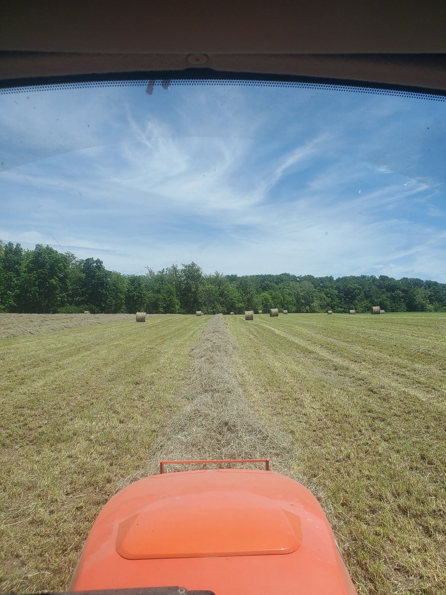jmarsh068's tweet photo. @dbfarms2023 https://t.co/DnYhA3yWt9