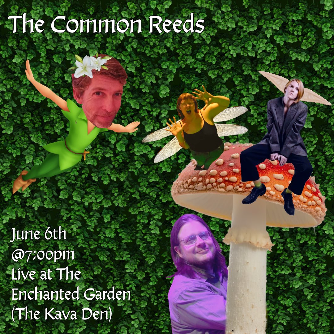 TGKavaDen's tweet photo. ✨Experience the Kava Den this Saturday night with The Common Reeds 7pm. ✨

#enchantedgarden #kavacommunity #botanicalbar #livemusic #thecommonreeds https://t.co/a1uQaPzIj4