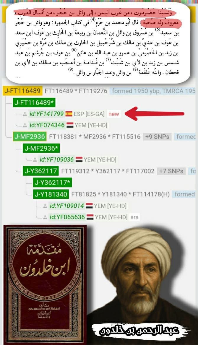 DrMohammedBa's tweet photo. الجينات تُظهر قوم ابن خلدون ! 

نستيقظ اليوم على وقع رفع عينة نوعيَّة من مقاطعة غاليسيا أقصى شمال غرب إسبانيا على مشجرة Yfull متكتلةً على التحور الحميريّ J-Y6370/J-FGC3723 تحت السلالة العربيَّة J-FGC11 

تكتَّلت العينة في تحور عمر الالتقاء تحته 1,950 سنة، وبقت العينة مُعلَّقة في أعلى هذا الكلاستر (Cluster)؛ لعدم تطويرها، رفقة عينة يمنيَّة من حضرموت.
في الحقيقة إنّ هذا الكلاستر الذي تكتلت تحته العينة كلاستر يمنيّ حضرميّ بامتياز، ومع تطويرها ستنزل لأسفل أكثر وأكثر ويتقلص عمر الالتقاء بدوره أكثر وأكثر. 

وتؤكد هذه الن��يجة أنّ أسلاف هذا الإسبانيّ من مقاطعة غاليسيا يأتون في الأصل من اليمن من بلاد حضرموت، من جملة العرب الذين سكنوا إيبيريا خلال القرون الوسطى. 

وأشهر هؤلاء العرب الحضارمة الأندلسيين هم بدون منازع أسرة "بنو خلدون" الأرستقراطيَّة الشهيرة، واحدة من أهم وأشهر الأسر العربيَّة في الأندلس، الذين يبدأ تواجدهم في إيبيريا مع نزول جدهم خالد "خلدون" بن عثمان بن هانئ بن الخطاب بن كُريب بن معد بن يكرب بن الحارث بن وائل بن حجر -رضوان الله عليه- للجزيرة مع قومه الحضارمة، حيث استوطن أولًا بلدة قرمونة قُرب قرطبة ثم انتقل منها إلى إشبيلية، وهناك في إشبيلية سطَّرت ذريته من بعده تاريخًا تليدًا يطول ذكره. 

وأشهر أفراد هذه الأسرة هو دون منازع عبد الرحمن بن خلدون المولود في تونس سنة 732ھ / 1332م، وهو صاحب الموسوعة الشهيرة المعروفة بكتاب العبر وديوان المبتدأ والخبر ومقدمتها الشهيرة التي تعد أول عمل تاريخيّ يتناول علم الإجتماع والديموغرافيا والتاريخ الثقافيّ، وهي نواة لعلم الإجتماع المعروف اليوم. 

على أي حال، هذه العينة هي الأولى من إيبيريا التي تُرفع على مشجرة Yfull تحت هذا التحور، ولكنها ليست الأولى التي تظهر عليه، فحسب قاعدة بيانات شركة FamilyTree فهناك 6 عينات أوروبيَّة تحت هذا التحور J-Y6370/J-FGC3723 ويمكن ربطها جميعًا بعرب الاندلس، وهذه العينات هي : 
- عينة من إسبانيا 🇪🇸
- عينة من البرتغال 🇵🇹
- عينة من ألمانيا 🇩🇪
- عينة من النمسا 🇦🇹
- عينة من جمهورية التشيك 🇨🇿
- عينة من إيطاليا 🇮🇹 

العينتان الإسبانيَّة والبرتغاليَّة ربطها بعرب الأندلس سهل وواضح للجميع، أما الأخرى فيطول شرحها قليلًا، إذ تعود حتمًا للفترة التي تلت تولي الإمبراطور كارلوس الخامس من أسرة هابسبورغ الألمانيَّة لعرش مملكة إسبانيا، ليصير بذلك ملكًا لإسبانيا وإيطاليا وأرشيدوقًا للنمسا وإمبراطورًا للإمبراطورية الرومانية المقدسة (ألمانيا وسويسرا والتشيك وبلاد أخرى). 

وقد أتاحت هذه الوحدة السياسيَّة حرية الحركة السكانيَّة بين مختلف سكان المناطق الخاضعة لسيطرة أسرة هابسبورغ، والتي ظلت إسبانيا تحت حكمهم طوال الفترة الممتدة من 1516 حتى 1700 ميلاديّ.

وخلال هذه الفترة الهابسبورغيَّة برز الإسبان في صفوف جيش الإمبراطورية الرومانيَّة المقدسة، وخاصةً في الحرس الملكيّ الهابسبورغيّ. 

وعلى صعيد الجينات، فإنَّ العينتان الألمانيَّة والتشيكيَّة (أحفاد العساكر الإسبان في صفوف جيش الإمبراطورية الرومانية المقدسة) موجودتان على مشجرة Yfull ومتكتلتان أسفل تحور بعمر التقاء 1,400 سنة، ويُولد تحورهما من تحورين علويين أكبرهما تحته عينة يمنيَّة غير مطورة من مدينة إب بعمر التقاء 3,400 سنة، ومع تطوير هذه العينة ستنزل لأسفل التكتل وتكسر انعزال العينتان الألمانيَّة والتشيكيَّة. 

على أي حال، يعطينا هذا تأكيدًا أن تواجد التحور الحميريّ J-Y6370/J-FGC3723 بين أولئك السكان الذين يمكن تتبع أصولهم لإيبيريا هو تواجد مُعتبر، وهذا ليس بغريب إذ نجد لسان الدين الخطيب يخبرنا في كتابه الإحاطة أن أكثر الكِنى المنتشرة بين سكان الأندلس في عهده هي : الأنصاريّ، الحميريّ، الجُذاميّ، القيسيّ والغسَّانيّ.