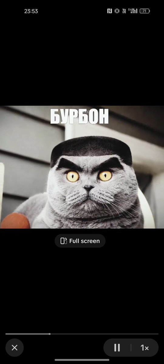 Lyighyt tweet media