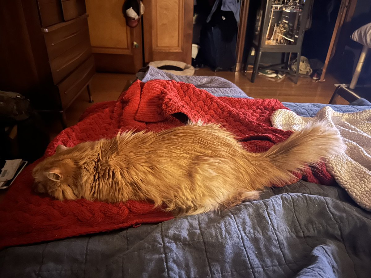 FearTheFloof's tweet photo. https://t.co/wgdW76iD6n