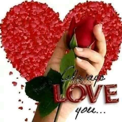 xxxxv3ca's tweet photo. @c_0086 https://t.co/UXSJkf2dDV
