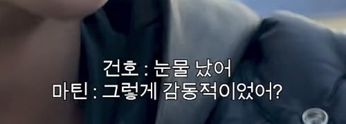 뽀 tweet media