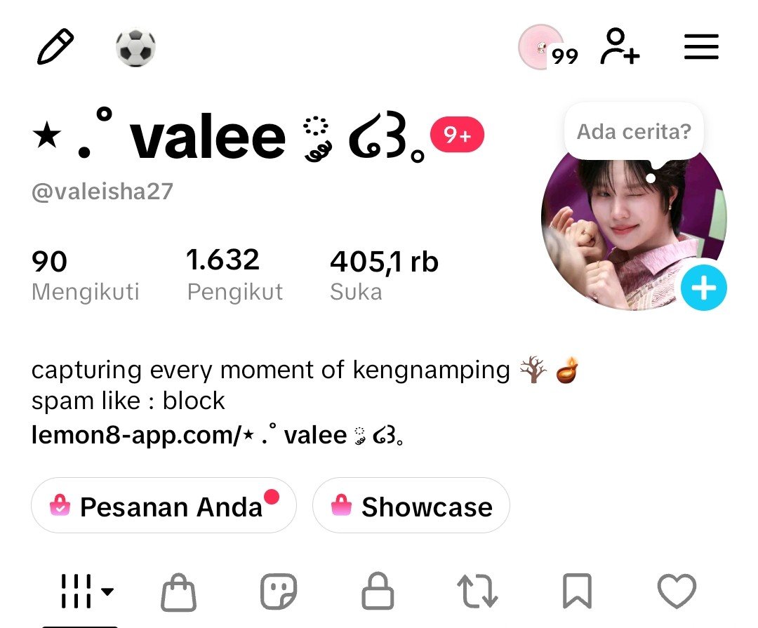 ⋆ .˚ valee 🎐 tweet media