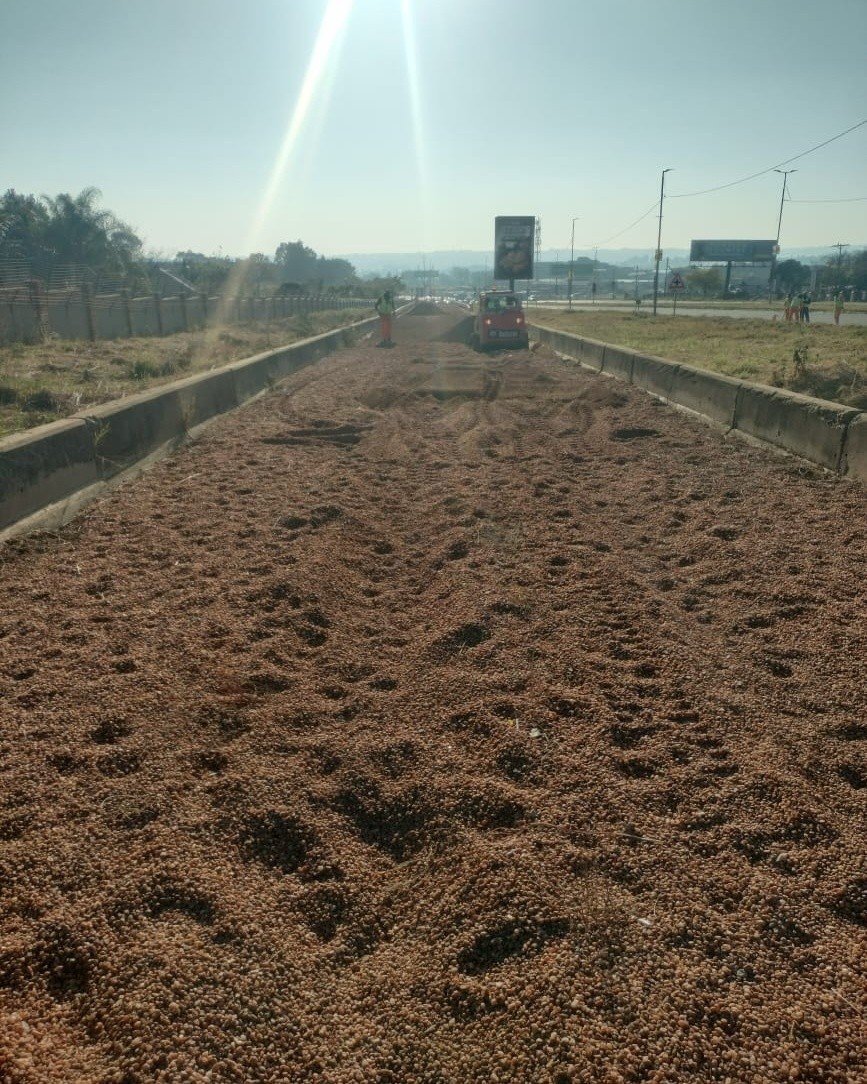 GPDRT_'s tweet photo. Road maintenance teams continue to improve and preserve Gauteng’s road network through various infrastructure interventions.

📍 Road P89/1 – Permanent pothole repairs are underway to enhance road safety and driving conditions.

📍 Road D331 – Rehabilitation activities continue as part of efforts to extend the lifespan of the road infrastructure.

📍 Road P89/1 – Temporary warning road signs have been installed to ensure the safety of motorists and road workers during ongoing maintenance operations.

📍 Road P39/1 – Arrestor bed maintenance is being carried out to improve safety for heavy vehicles on steep descents.
📍 Road P59/1 – Grass cutting activities are underway to improve visibility, road aesthetics, and overall road user safety.
#GrowingGautengTogether #RoadMaintenance #SaferRoads #ServiceDelivery