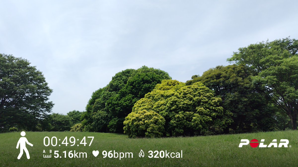 texas_blues_man's tweet photo. #50過ぎの親父が肉体改造に挑戦してみたら

6/1　5.16㎞ 49'47" 9'36"/㎞ 30.5℃ ☀️
6/2　5.19㎞ 46'44" 9'01"/㎞ 24.8℃ ☁️
ウォーキング2日分

台風6号🌪️
被害は少なく水がめはいっぱいでお願いしたい

　心拍数 50（安静時）
　体温 36.1℃

#ランニング 
#ジョギング 
#Age58 
#PolarPacer https://t.co/z5XRLYV6X5