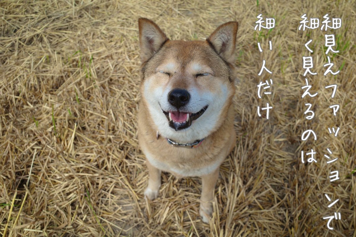 crave1981's tweet photo. #自戒ーヌ https://t.co/OeUzaL3Sr4