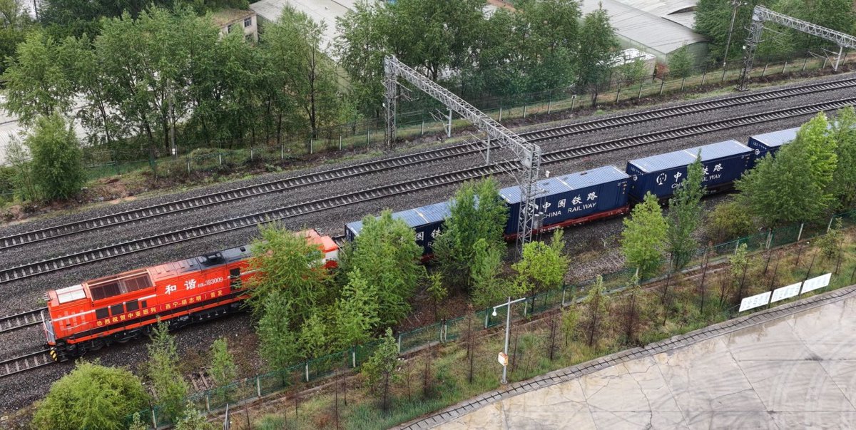 パルナシウス・アッコ（1オス・中国/青海省） 青海チベット高原からASEAN直通貨物列車が運行開始】青海チベット高原
