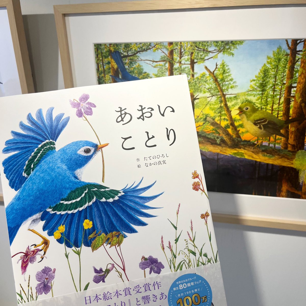 necoyabooks's tweet photo. 『あおいことり』原画展を開催中です❣️

羽の一枚一枚、草花の細やかな描き込み、やわらかな光や空気まで—— 思わず近づいて見入ってしまうほどの繊細さ。
ぜひ、原画ならではの細密な美しさをご覧いただけたら嬉しいです✨

台風の影響を考慮し、6月3日（水）は臨時休業 とさせていただきます。🙇‍♀️ https://t.co/kt6TVcNB1U