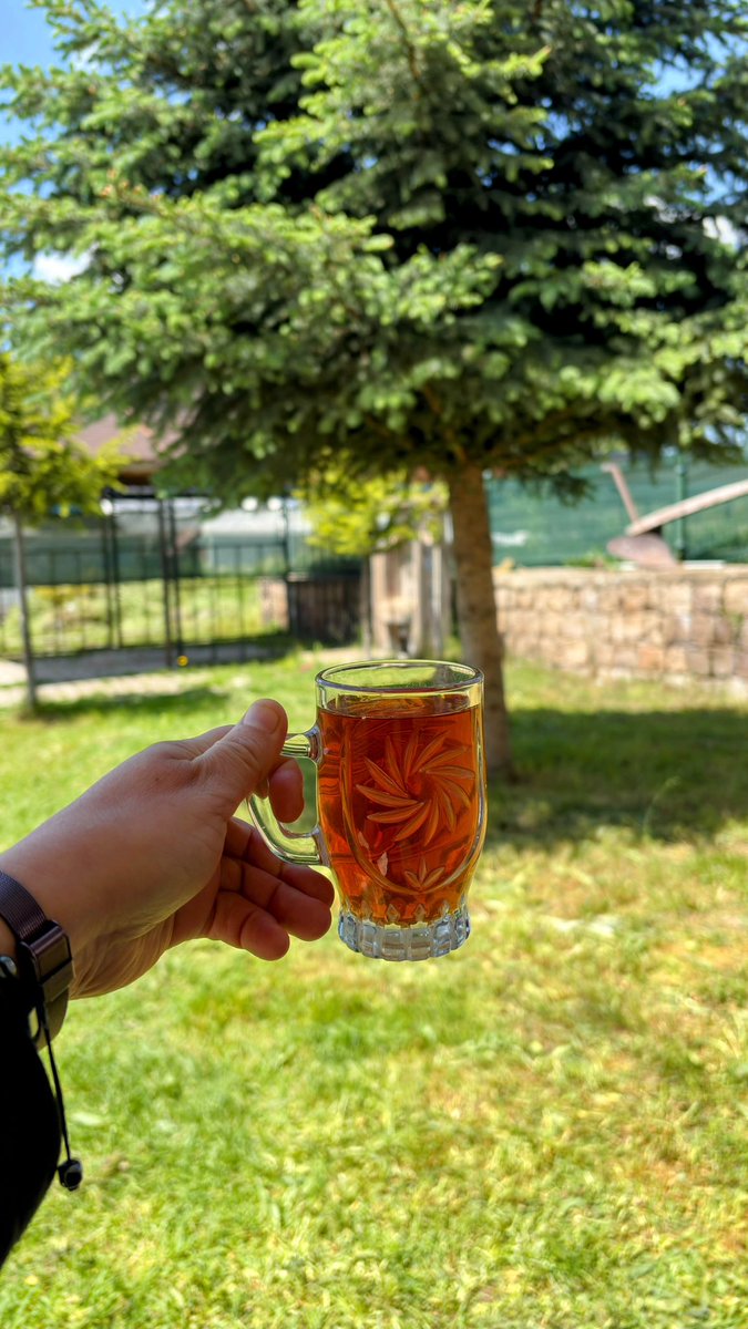kitapsever85's tweet photo. Vallahi bıktım artık. İzin alıp gitsen gidemiyorsun. Başım çatlıyor sabahtan belli yazı yazmaktan. Bi boşlukta attım kendimi bahçeye. Daha emniyete gidecem.🤦🏻‍♀️ Ben kendimi şef diye biliyordum ama resmen amaleyiz.

#salı #çay https://t.co/YGghESC4kA