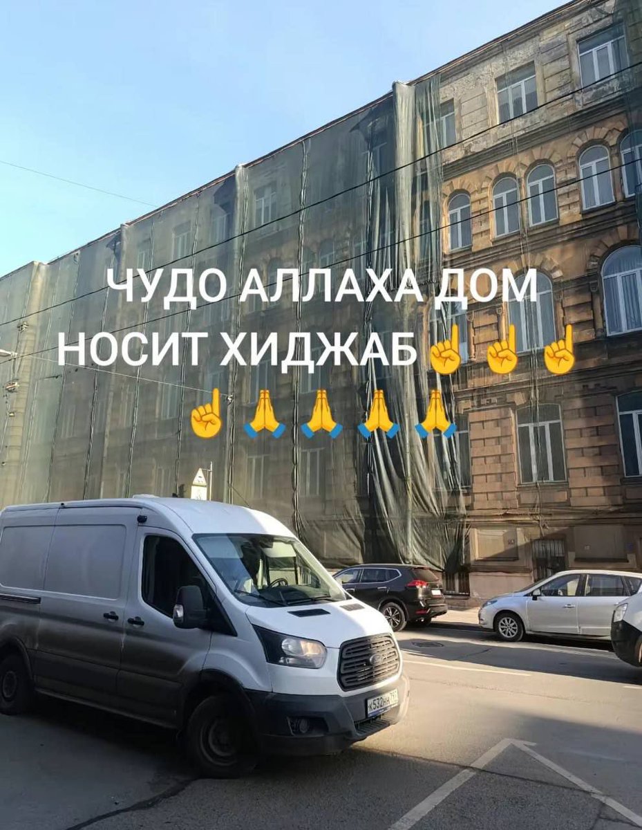 Шиза&База tweet media