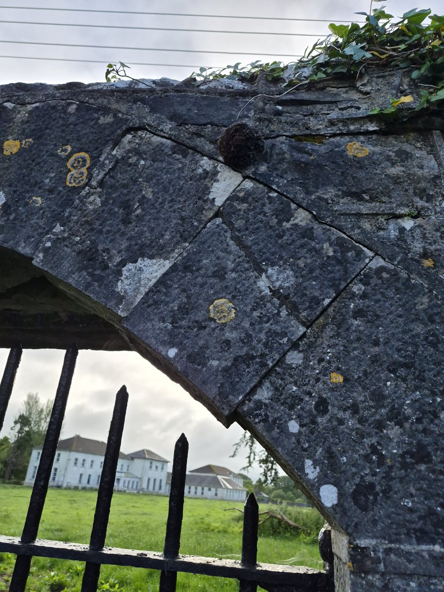 mylastsatoshi's tweet photo. An unusual break, a levitating stone.
"What goes up, must come down."
"A stitch in time saves nine."
#metaphor #proverb #warning
#LongfordCoCo #Ardagh https://t.co/RaAGQUPsLx