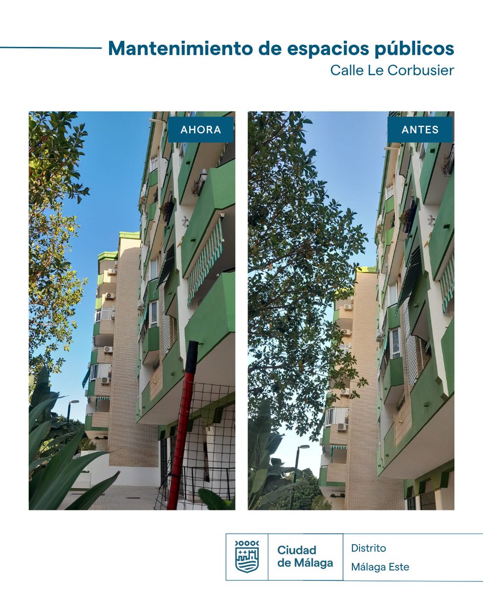 parquesmlg's tweet photo. Algunas de las últimas actuaciones realizadas @malaga_este han sido las siguientes:
📍 Calle Le Corbusier: poda de gálibo y fachada de palmeras.
 📍 Calle Manuel de Palacio: poda de fachada.
 📍 Calle Reding: poda de gálibo y fachada.

@malaga https://t.co/Cf9Ue0o1QX