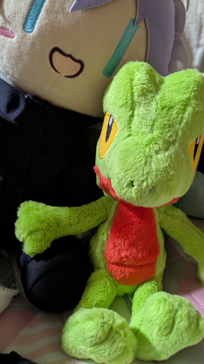 can_0130's tweet photo. ワイの寝床のニューフェイス https://t.co/NnCeisstxR