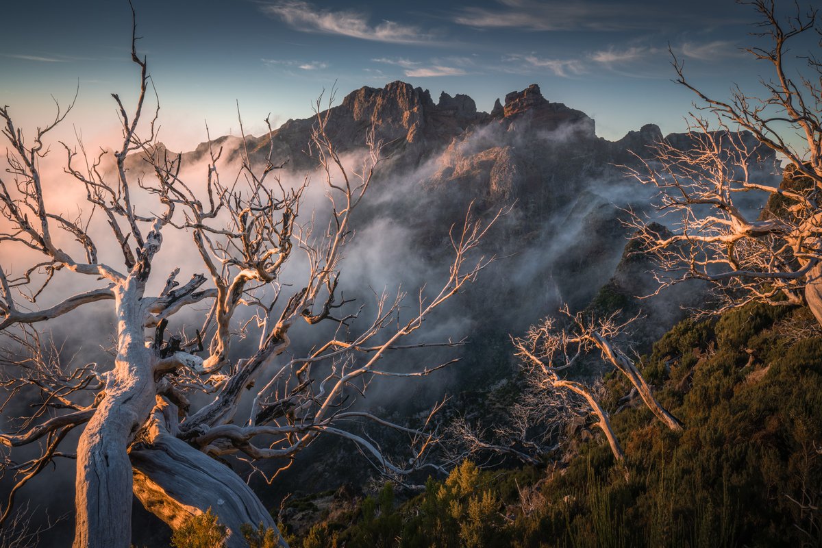 albertdrosphoto's tweet photo. More beauty of Madeira Island https://t.co/fqniJFHUYL
