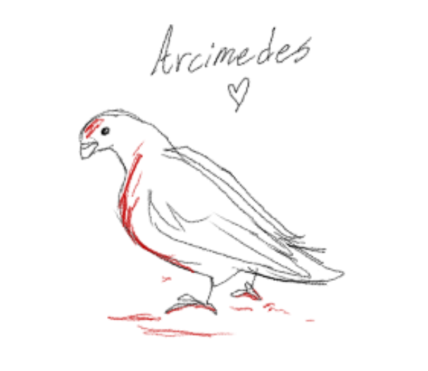 SolarSorane's tweet photo. I never really draw animals
let alone birds
I felt like drawing a certain bird, and it turned out actually so pretty???
tw// mild blood https://t.co/yxbPCZvrLG