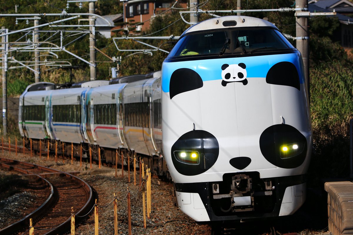 st_28379's tweet photo. さようなら パンダくろしお「サステナブルsmileトレイン」

5月末をもって287系 HC604編成に施されていたラッピングが解除となりました

パンダくろしおの中でも1番好きなデザインだったな... https://t.co/dXyqrzrV3w