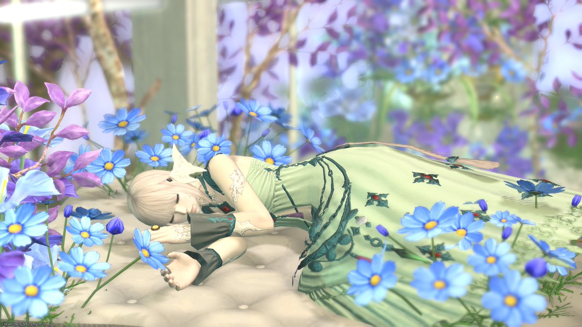non_coconuts's tweet photo. フレさんのタグをお借りします！！！

最初はPS４で始めてたから…
PSappから発掘してきたｗ
#メンテだしとにかくあなたの一番古いSSと最新のSSを見比べてニマニマしたいのでそっとSSをおいてほしい
←古　新→ https://t.co/L8U8sfJBfB
