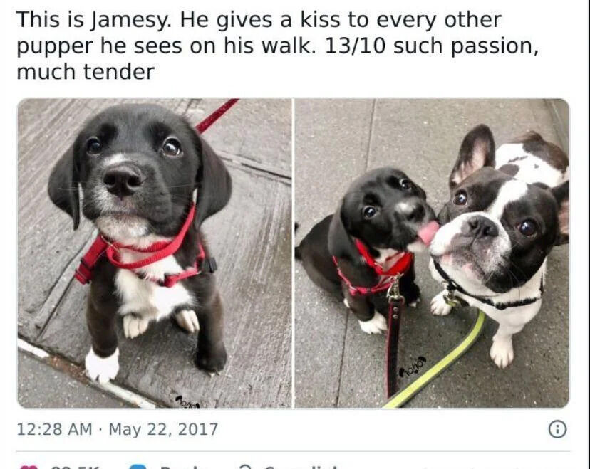 WholesomeMeme's tweet photo. https://t.co/1i0A30yD3D
