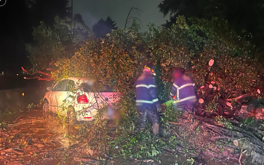 GN_Carreteras's tweet photo. #Tomesuspreucaciones en #CdMex se registra cierre total de circulación por caída de talón de tierra y árboles, cerca del Km 022+000 de la carretera Chamapa -La venta con dirección a Toluca. Maneje con precaución. https://t.co/EsF6gvmOlz