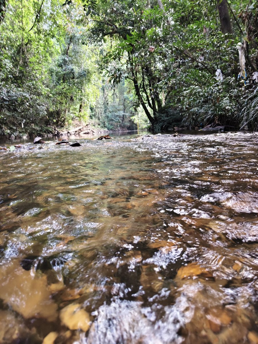 HermanHermawan_'s tweet photo. "Definisi 'healing' yang sebenarnya bukan di mall, tapi dengerin suara air mengalir kayak gini. 🌿💧
"Tempat buat melupakan sejenak cicilan dan deadline. 🍃 Kalau kalian di sini, kegiatan apa yang bakal kalian lakuin? Mandi, bengong, atau makan mie instan?" https://t.co/rbQYErFo1G