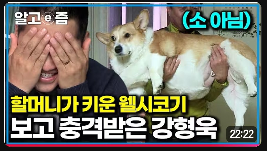 철아재 tweet media