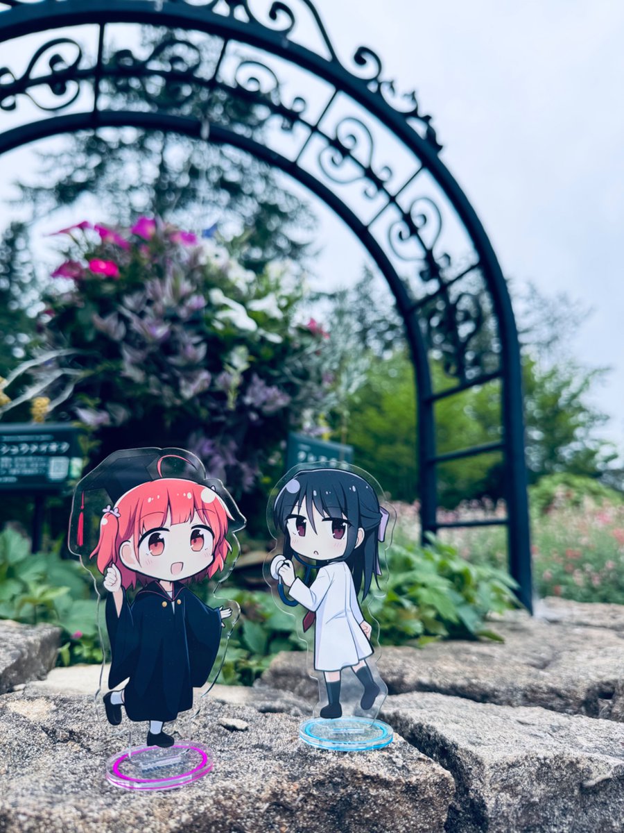 mini_omlet's tweet photo. 推し活 https://t.co/g75ij49wah