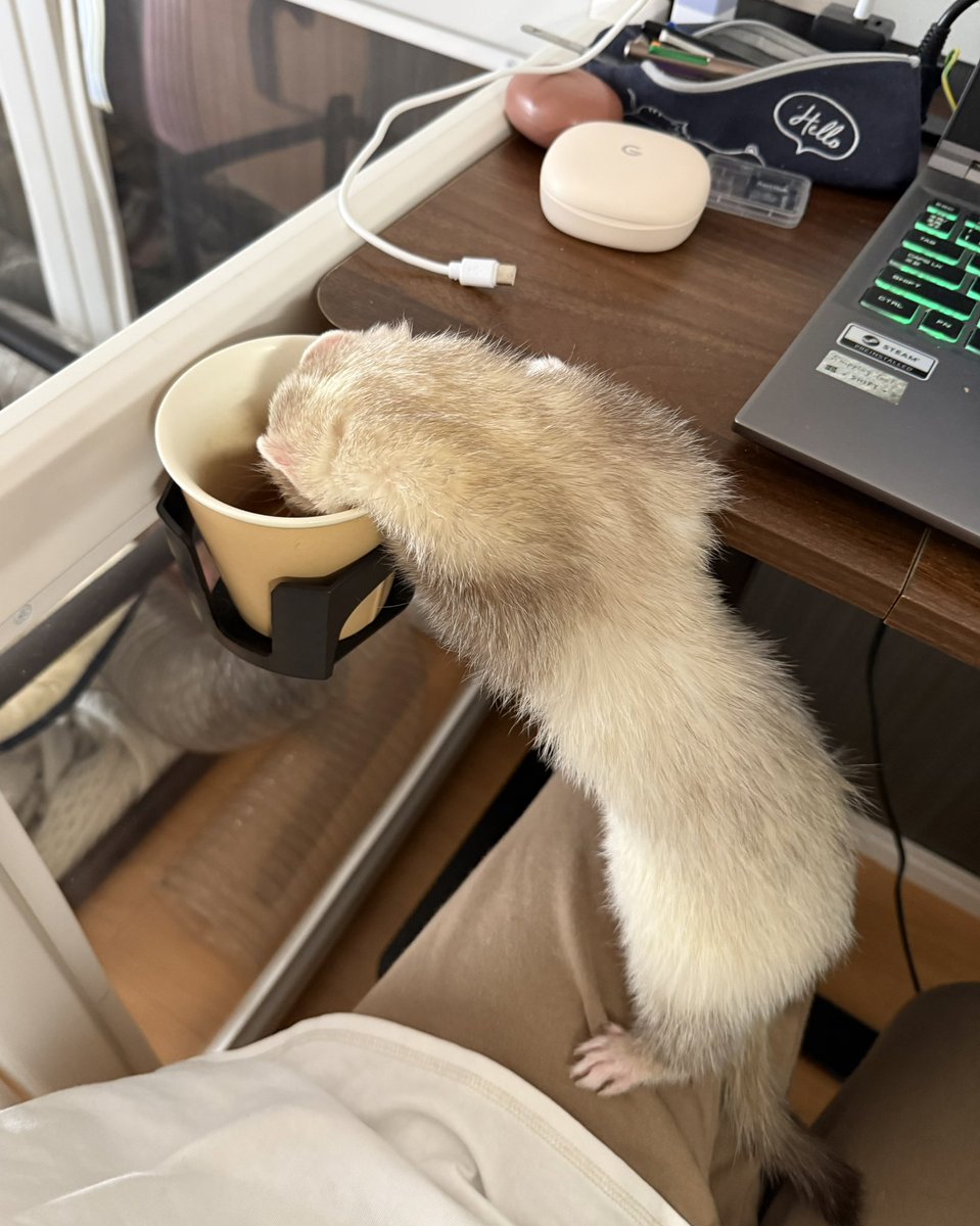 RetoYuz's tweet photo. どうしても麦茶を飲みたい子。
ちょっとだけあげた https://t.co/kzVjOXd8fe