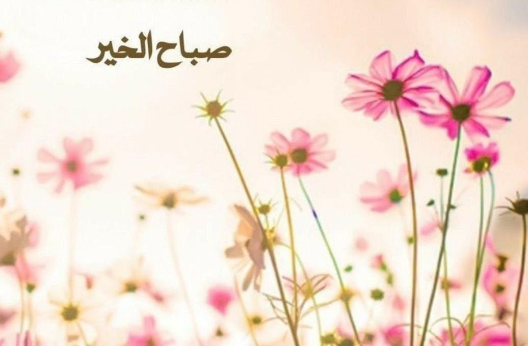 looov_10's tweet photo. كلنا نمضي إلى الله...
ولا أحد منا يمشي مستقيمًا دائمًا، ولكننا نسعى إليه!
وهكذا دومًا نكون بين صعودٍ ونزول، بين إيمانٍ وفتور، بين فرح وحزن، بين انتعاشٍ وانكسار،
فلا تملّ من الوقوف ببابهِ، ولا تقطع إليه الرجاء، وليكن سعيكَ إليه ولو حبوًا؛ فالله لا يردّ قادمًا إليه. https://t.co/nnQ4jb7ouH